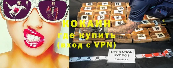 молекула духа Михайловск