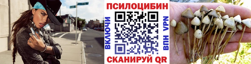 Галлюциногенные грибы прущие грибы  даркнет сайт  Мостовской 